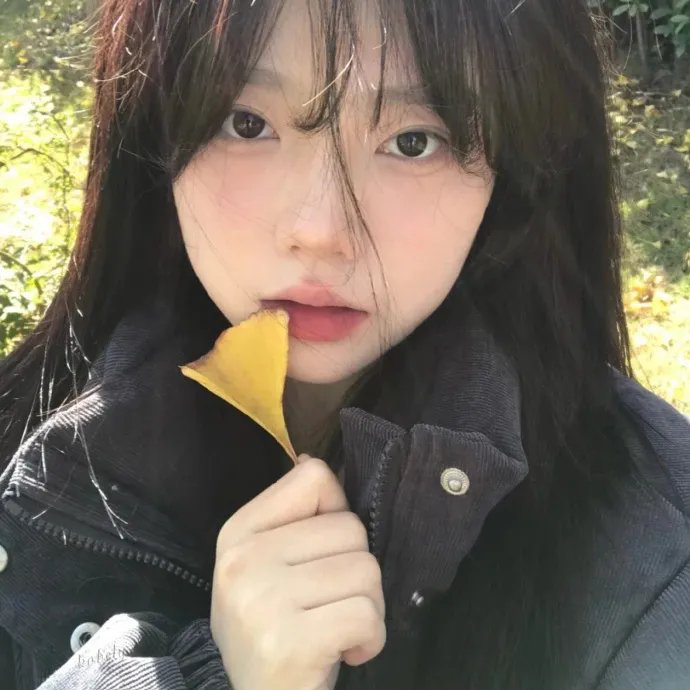 人间规则第二季